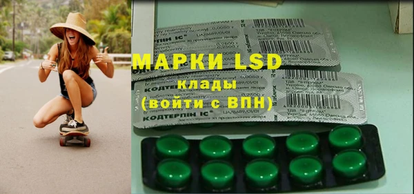 ПСИЛОЦИБИНОВЫЕ ГРИБЫ Заводоуковск