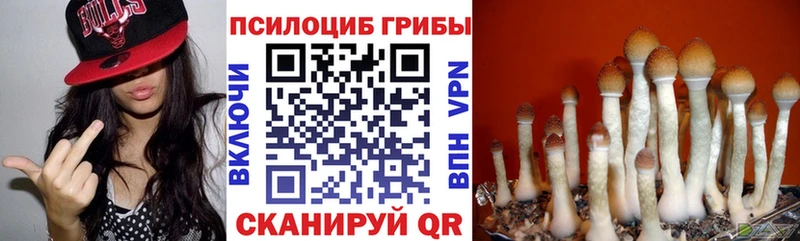 Купить  Михайловск  Галлюциногенные грибы мухоморы 