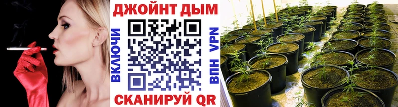 Купить  Михайловск  Бошки марихуана марихуана 